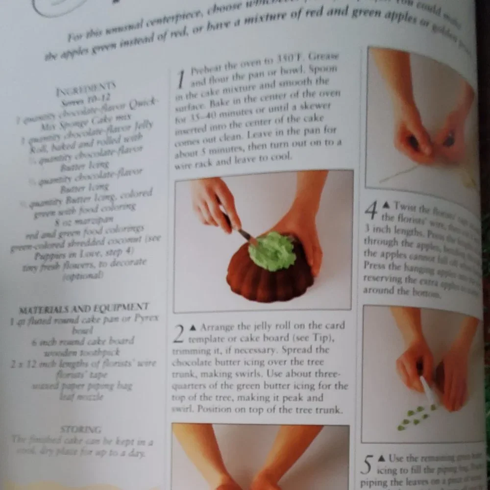 Best Ever Cake Decorating Cookbook
